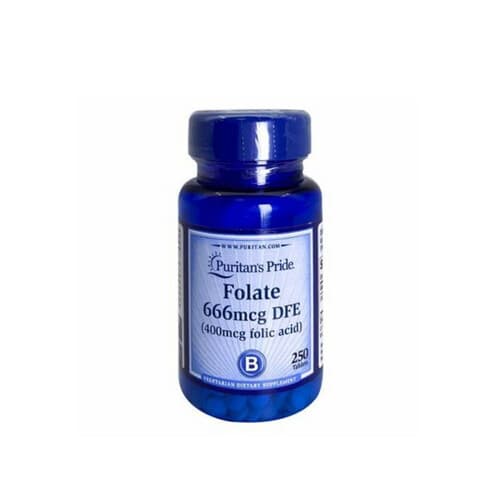 FOLIC ACID 400MCG TABLET P.P 250TAB